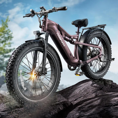 Adult All-Terrain Electric Bike